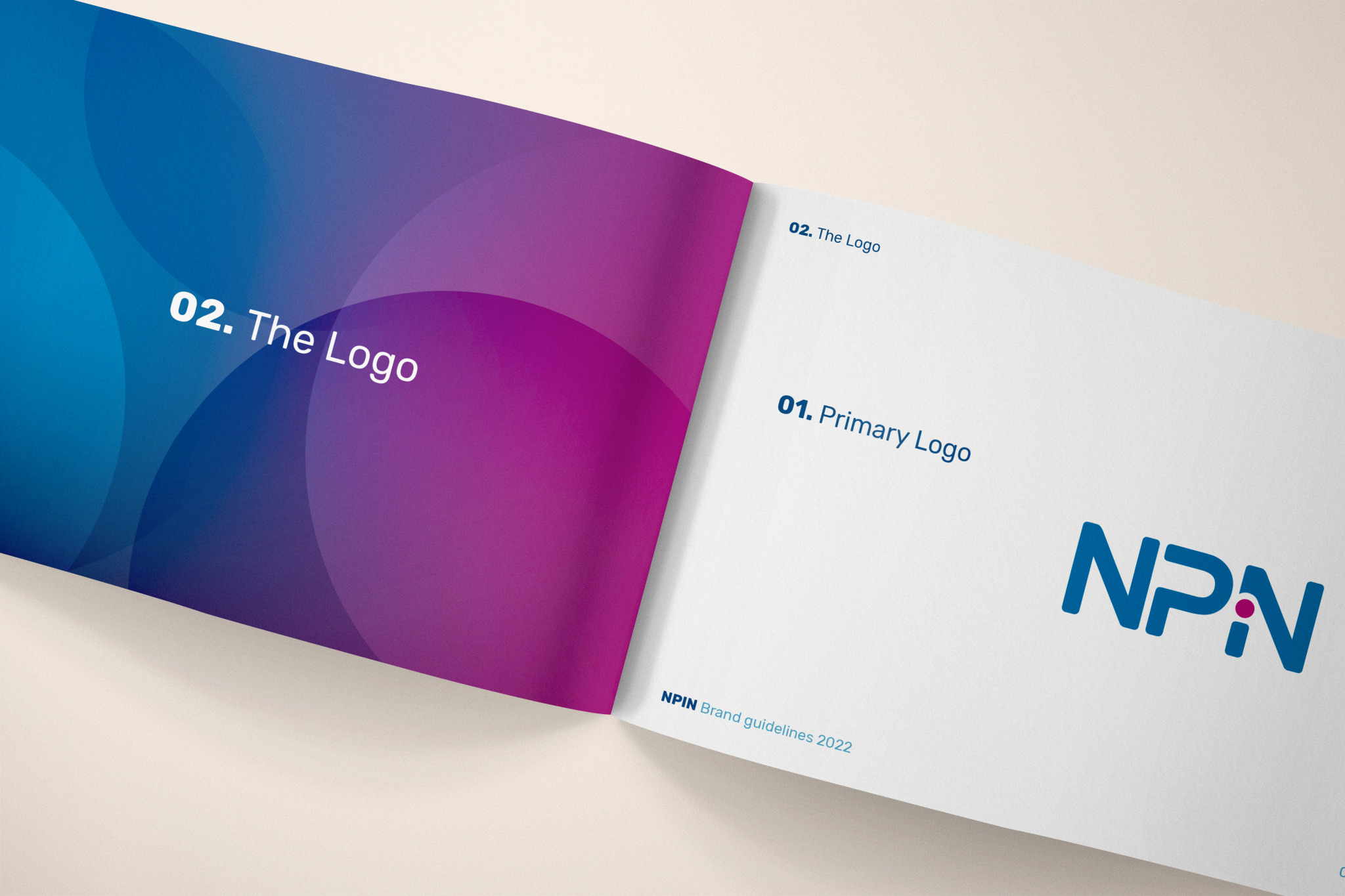 NPIN Portfolio image