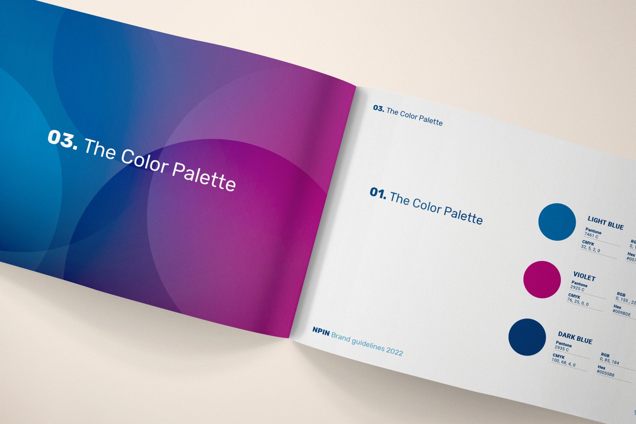 NPIN Portfolio image